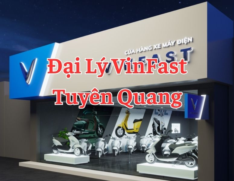 zS6gNBNJ dai ly vinfast 245